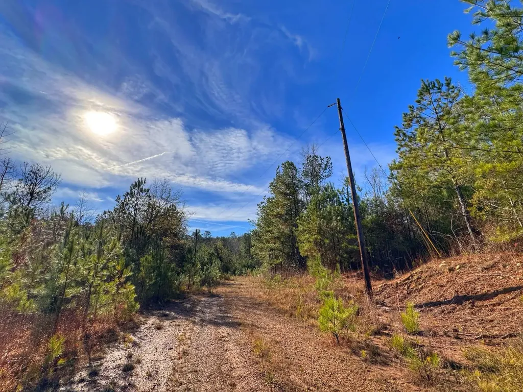 0 County Road 25 Reform AL 35481