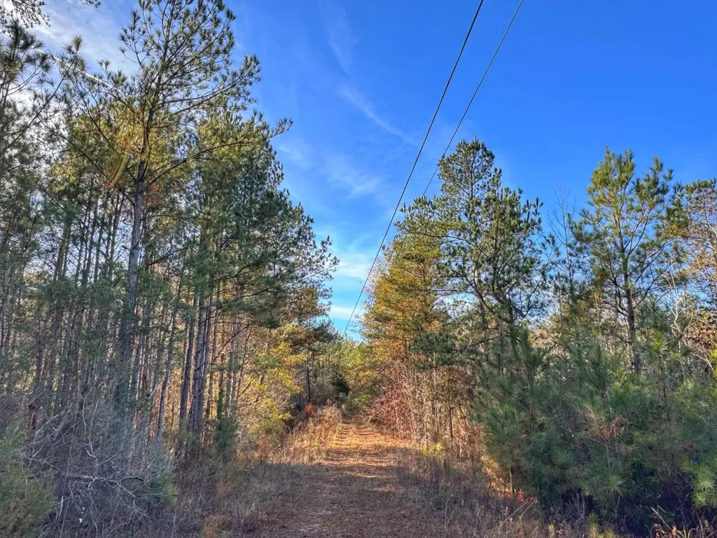 0 County Road 25 Reform AL 35481