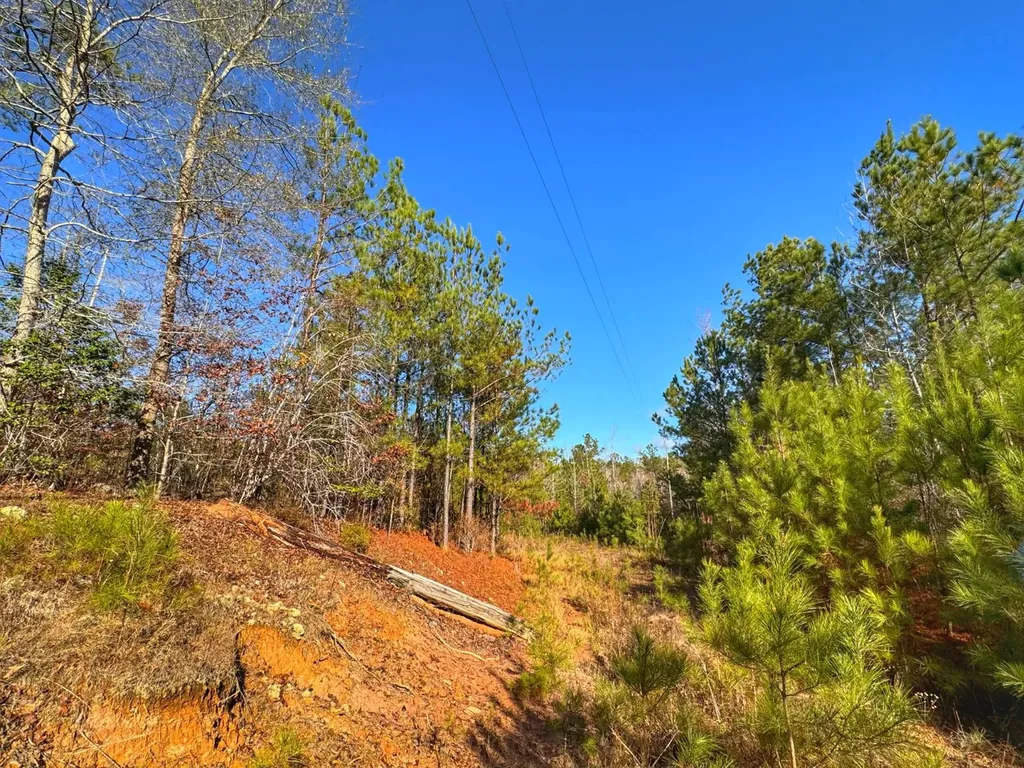 0 County Road 25 Reform AL 35481