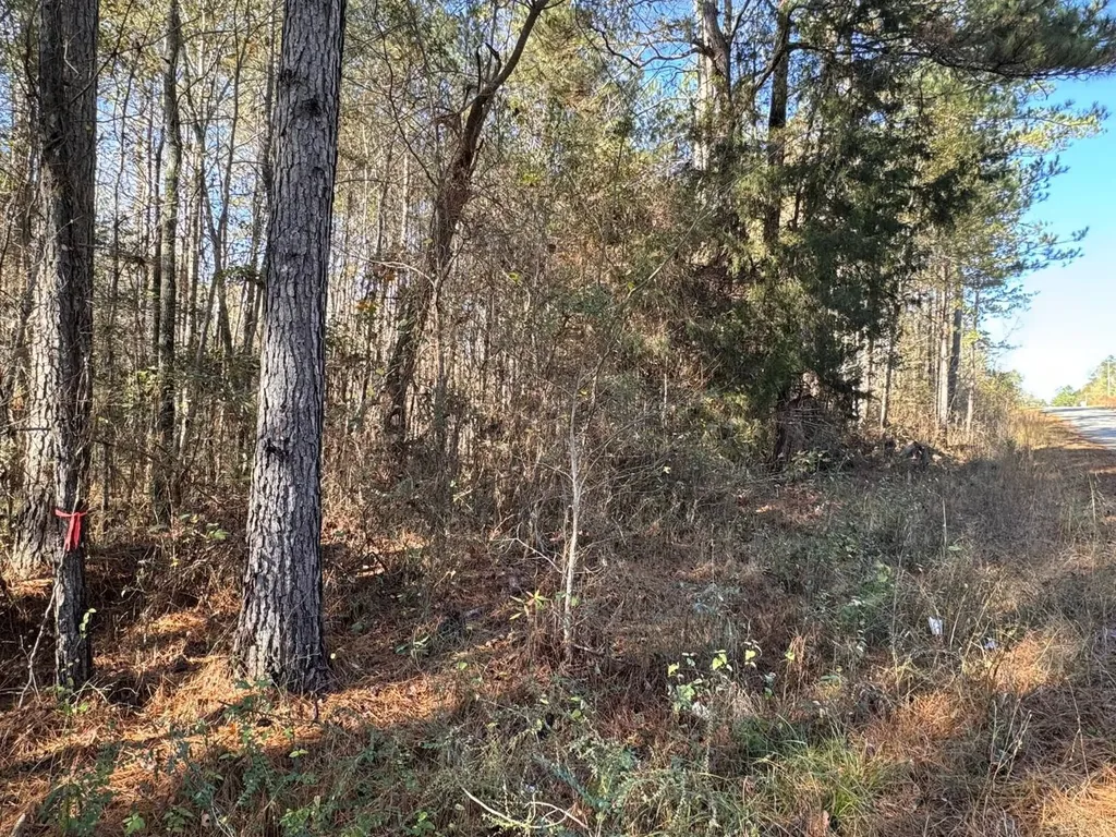 0 County Road 25 Reform AL 35481