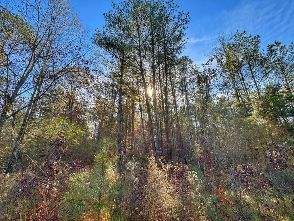 0 County Road 25 Reform AL 35481