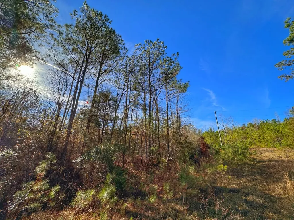 0 County Road 25 Reform AL 35481