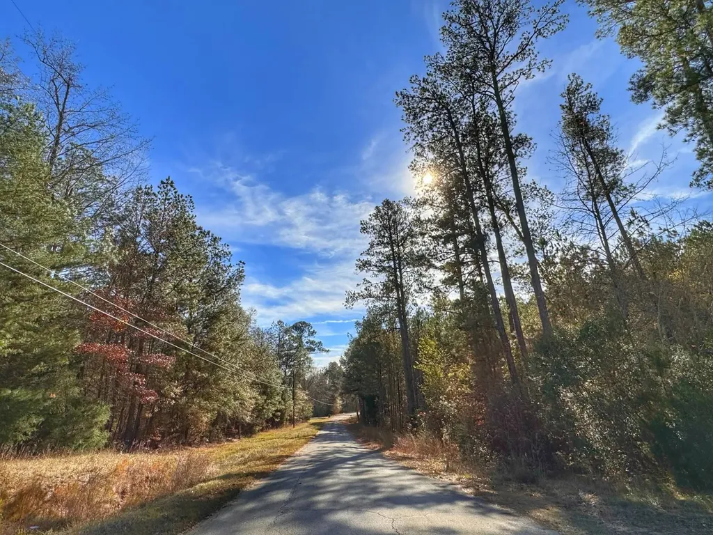 0 County Road 25 Reform AL 35481