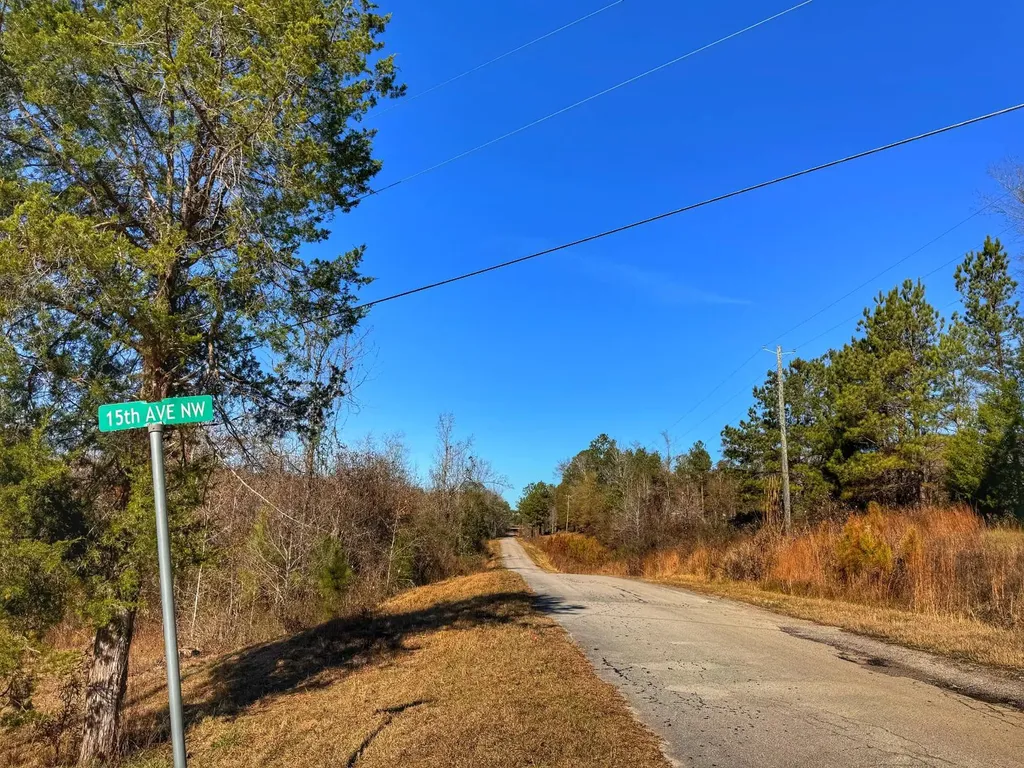 0 County Road 25 Reform AL 35481