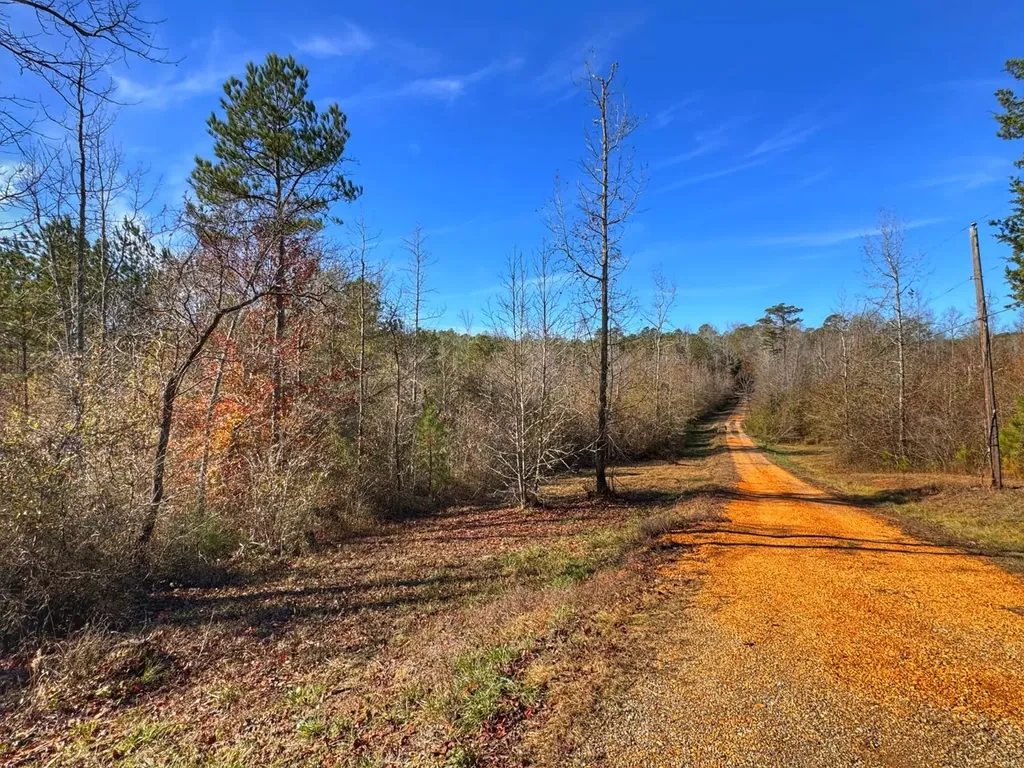 0 County Road 25 Reform AL 35481
