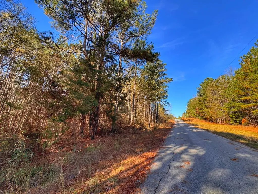 0 County Road 25 Reform AL 35481