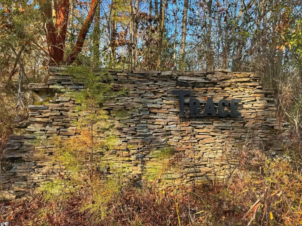 0 County Road 25 Reform AL 35481