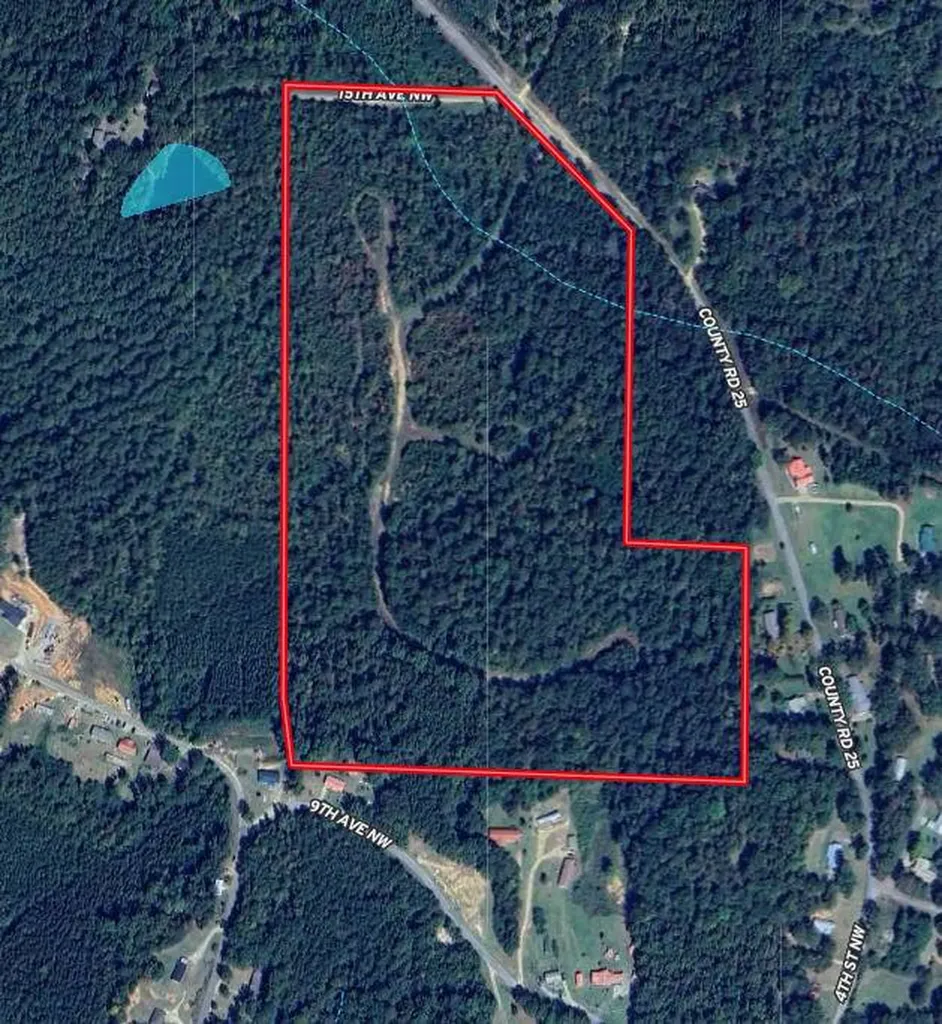 0 County Road 25 Reform AL 35481