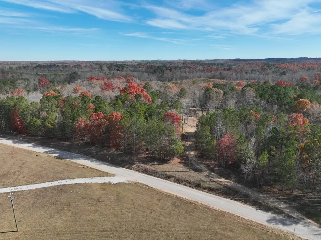 42 County Road 82 Fruithurst AL 36262