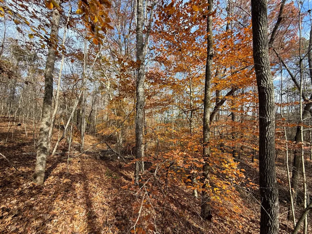 42 County Road 82 Fruithurst AL 36262