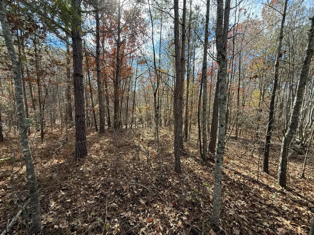 42 County Road 82 Fruithurst AL 36262