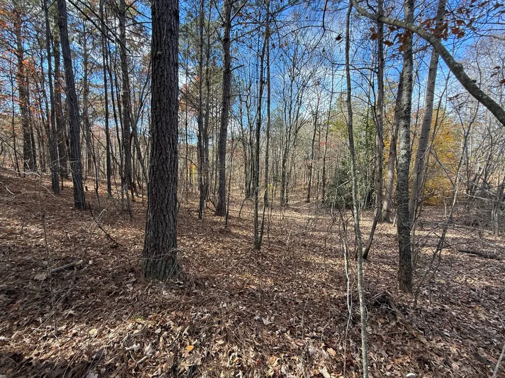 42 County Road 82 Fruithurst AL 36262