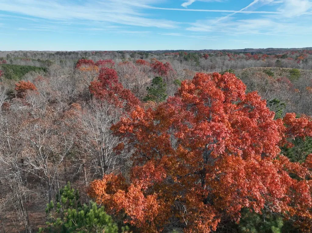 42 County Road 82 Fruithurst AL 36262