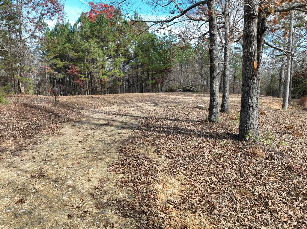 42 County Road 82 Fruithurst AL 36262