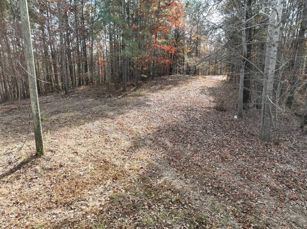 42 County Road 82 Fruithurst AL 36262