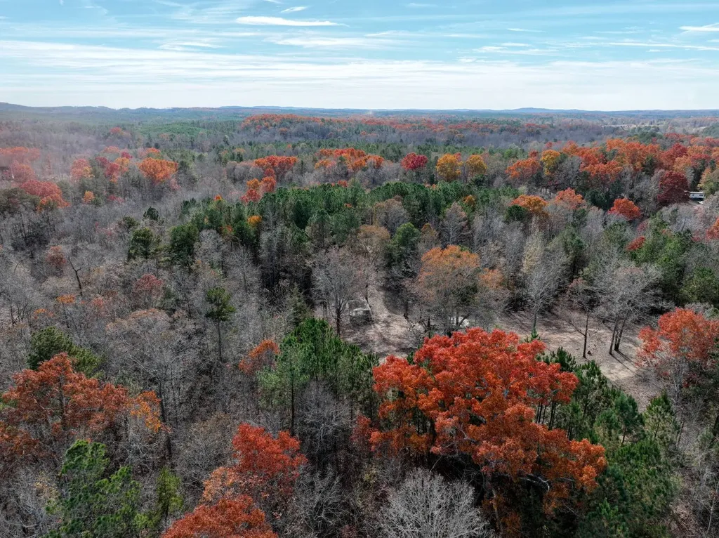 42 County Road 82 Fruithurst AL 36262