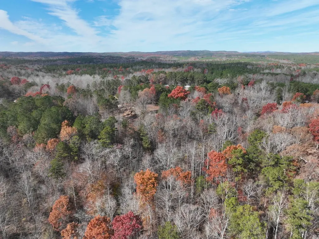 42 County Road 82 Fruithurst AL 36262