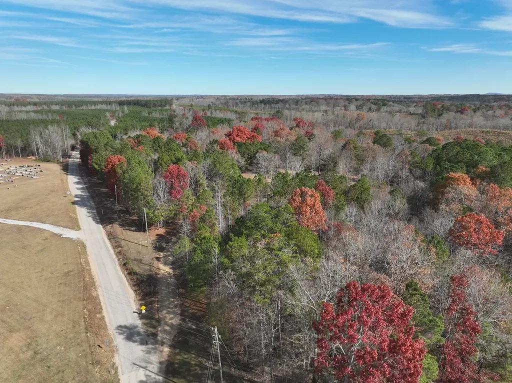 42 County Road 82 Fruithurst AL 36262