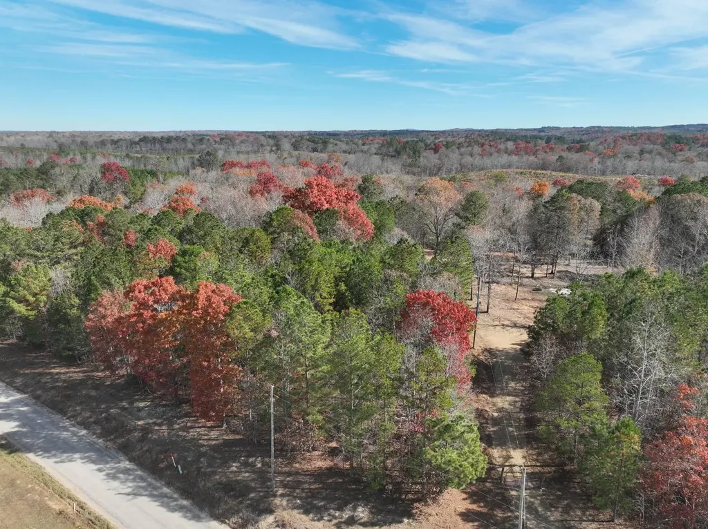 42 County Road 82 Fruithurst AL 36262