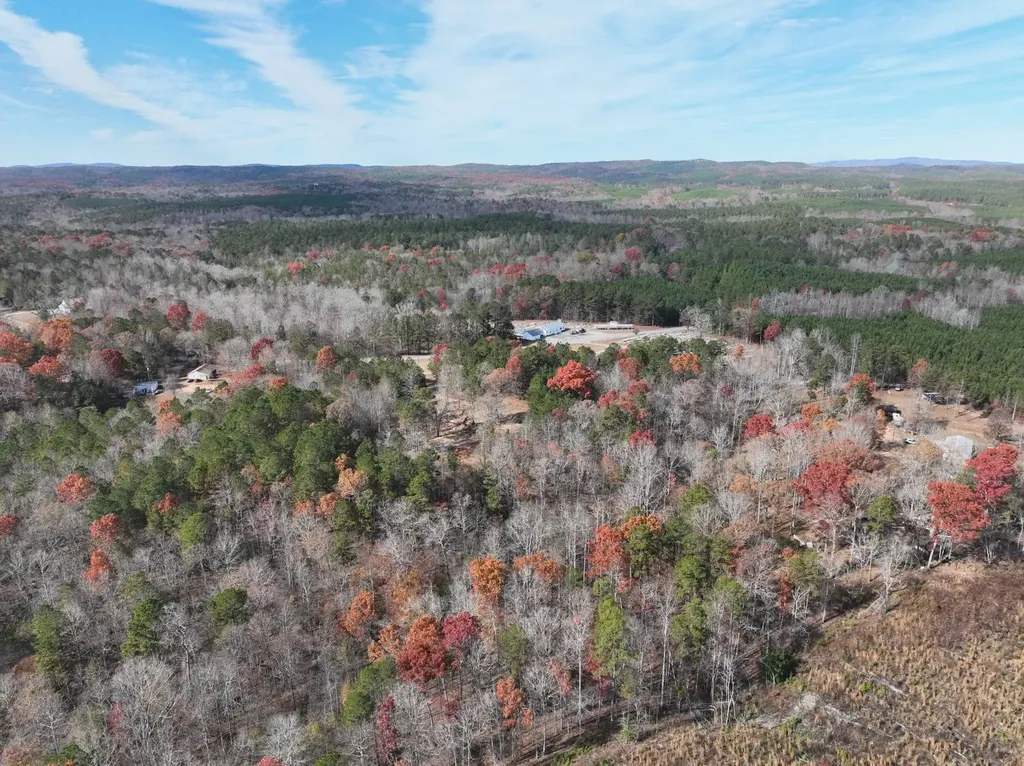 42 County Road 82 Fruithurst AL 36262