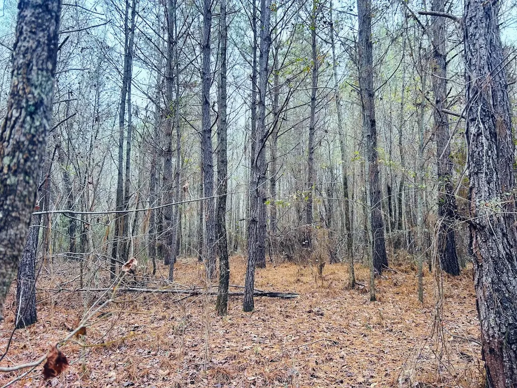 0 Hopeful Road Munford AL 36268