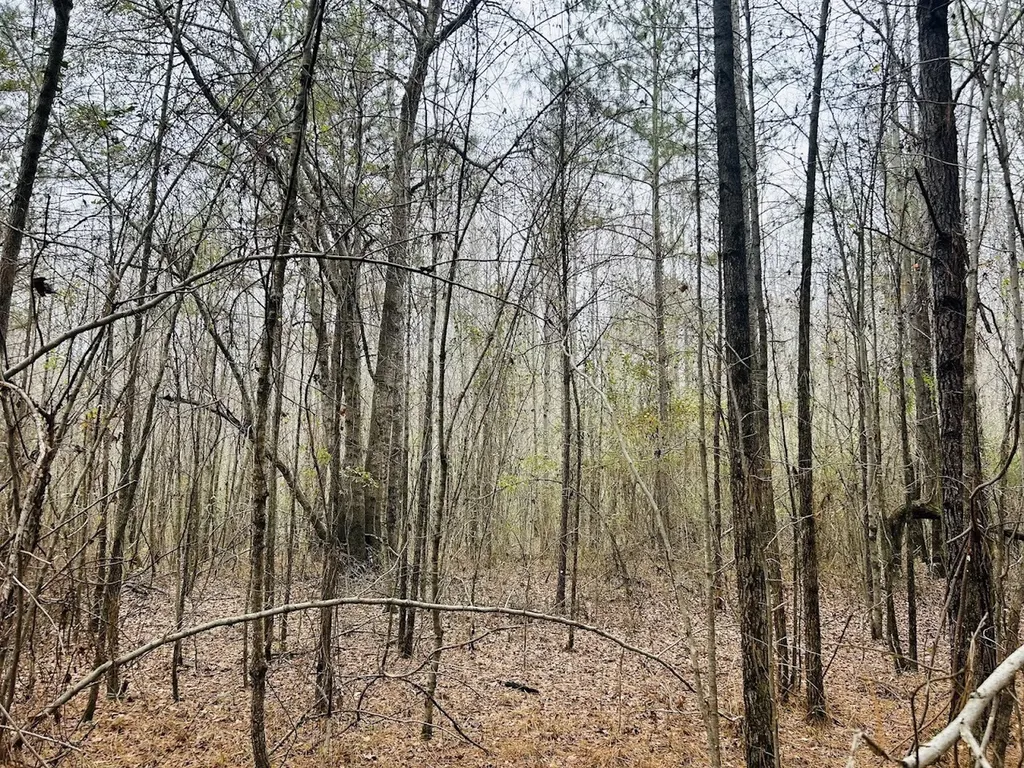 0 Hopeful Road Munford AL 36268