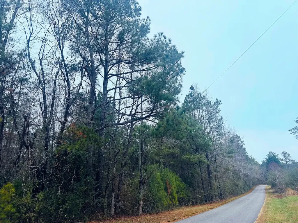 0 Hopeful Road Munford AL 36268