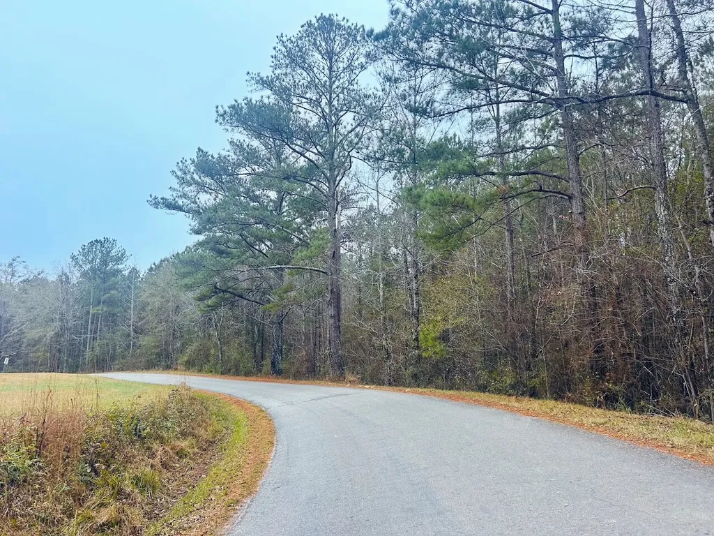 0 Hopeful Road Munford AL 36268