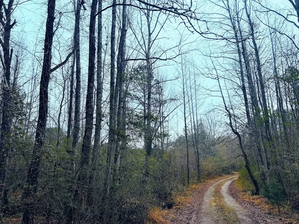 0 Hopeful Road Munford AL 36268