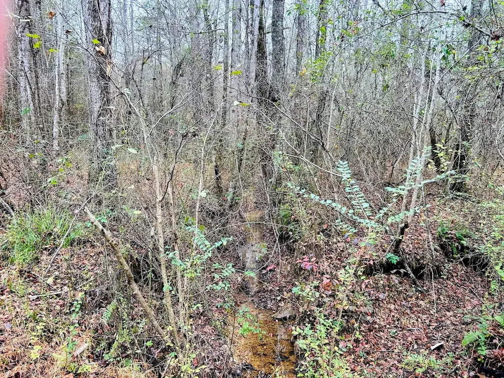0 Hopeful Road Munford AL 36268