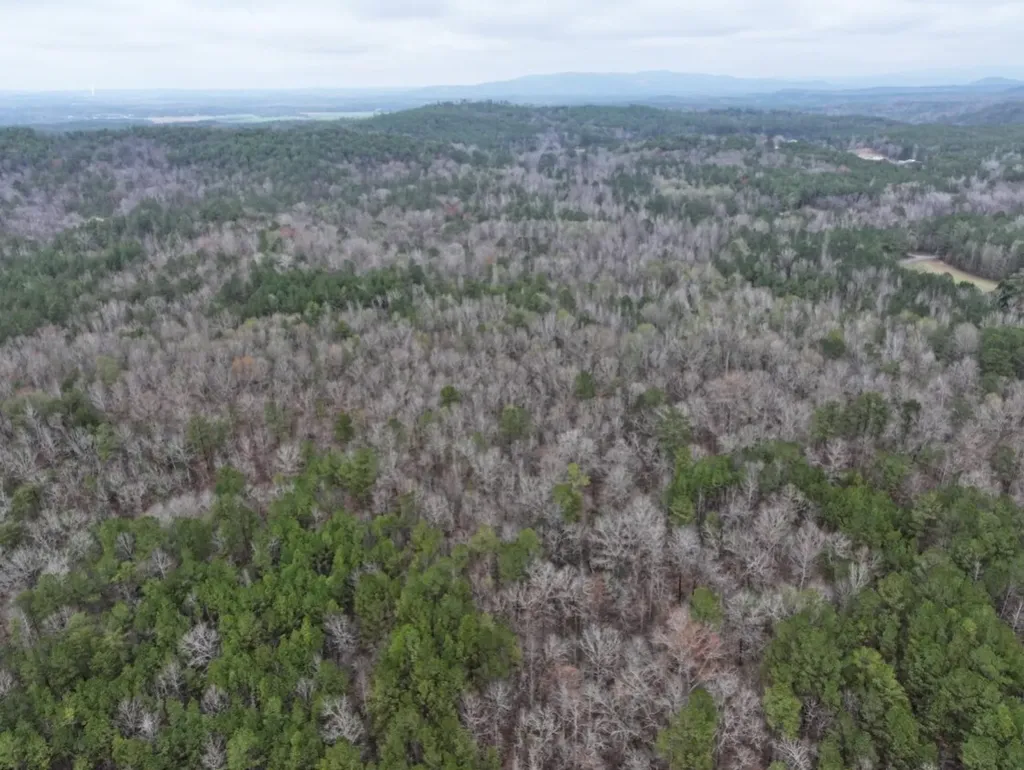 0 Hopeful Road Munford AL 36268