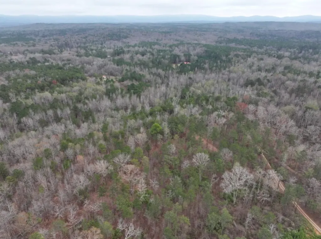 0 Hopeful Road Munford AL 36268