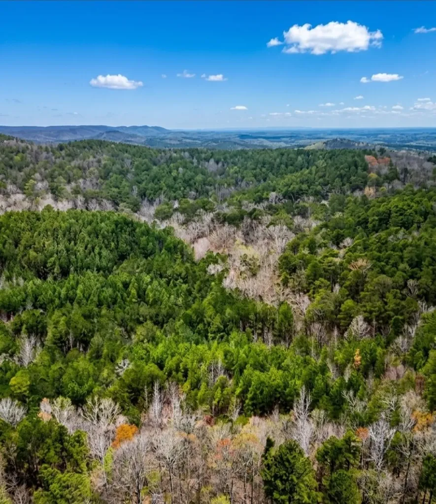 0 Hopeful Road Munford AL 36268