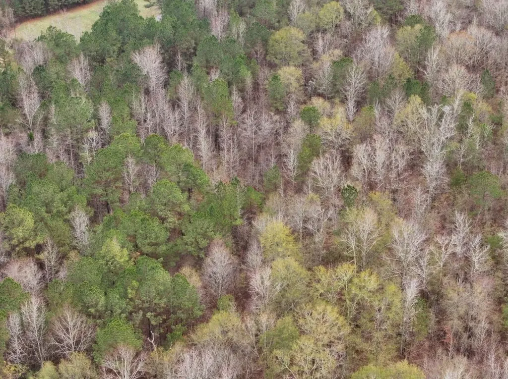 0 Hopeful Road Munford AL 36268