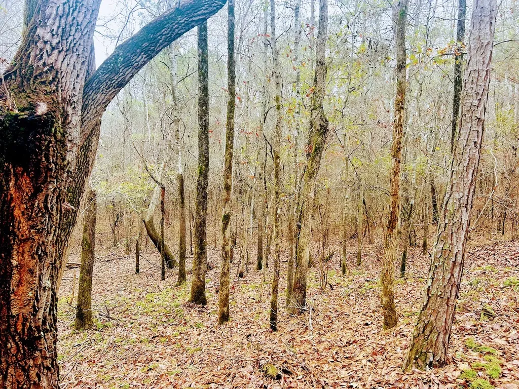 0 Hopeful Road Munford AL 36268