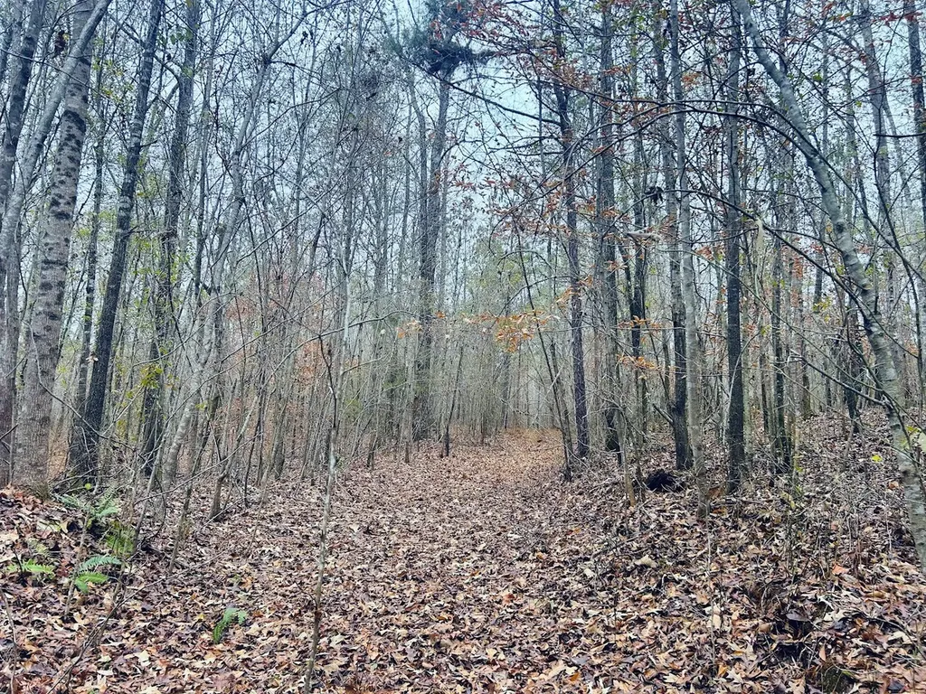 0 Hopeful Road Munford AL 36268