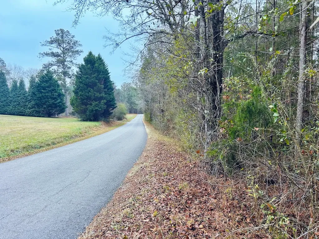 0 Hopeful Road Munford AL 36268