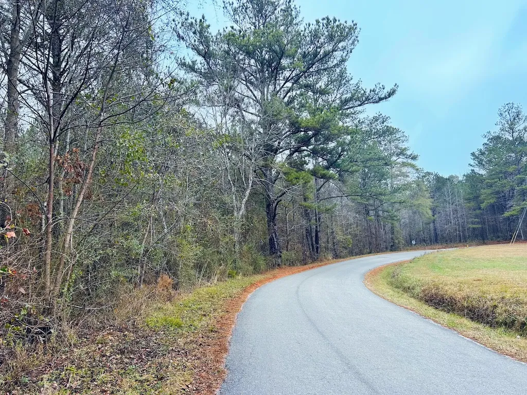 0 Hopeful Road Munford AL 36268