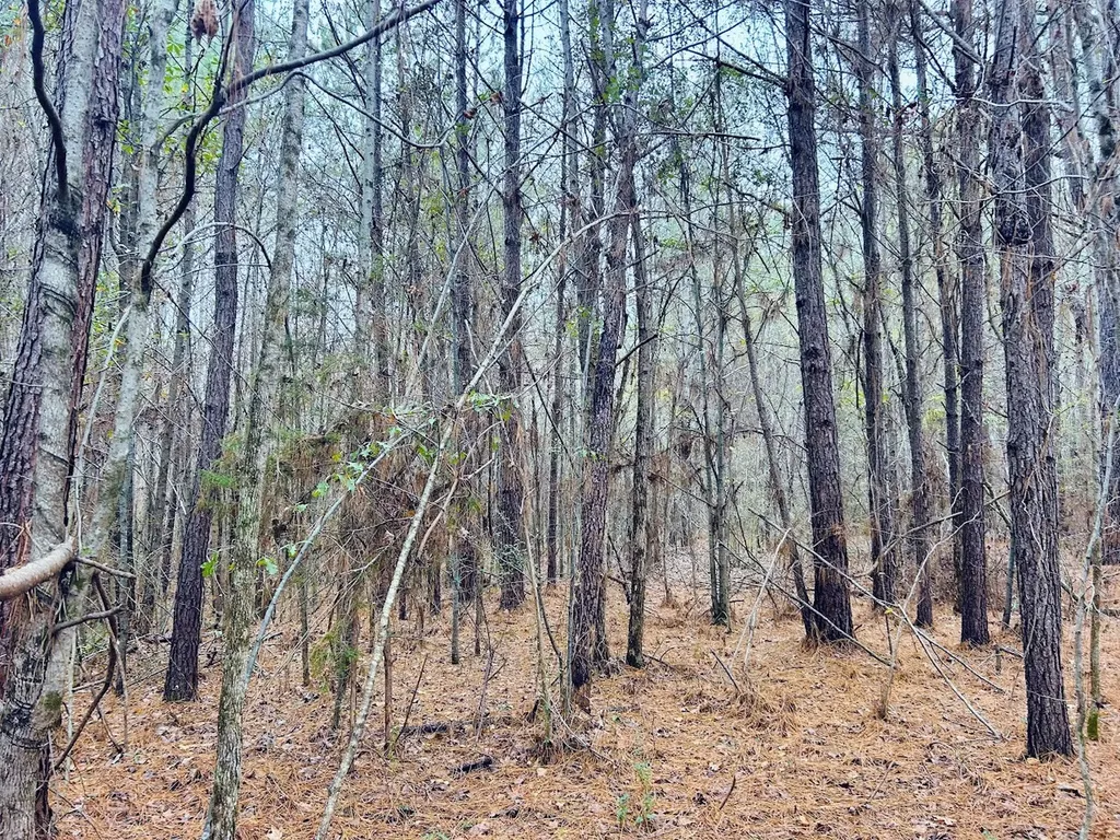 0 Hopeful Road Munford AL 36268