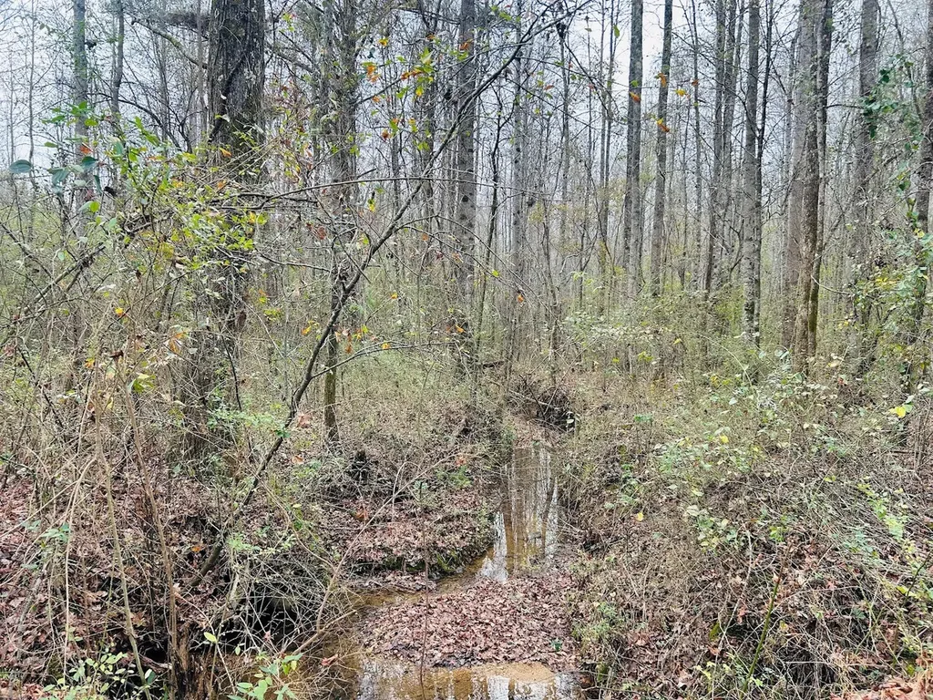 0 Hopeful Road Munford AL 36268
