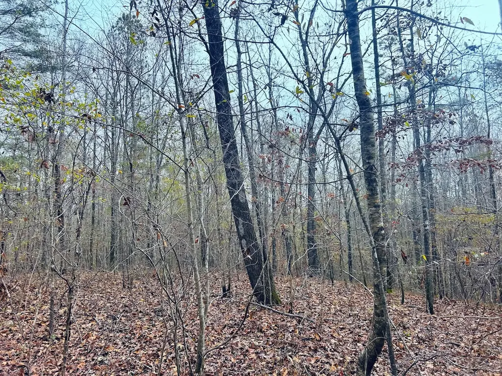 0 Hopeful Road Munford AL 36268