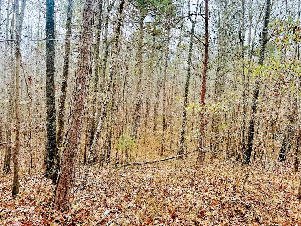 0 Hopeful Road Munford AL 36268