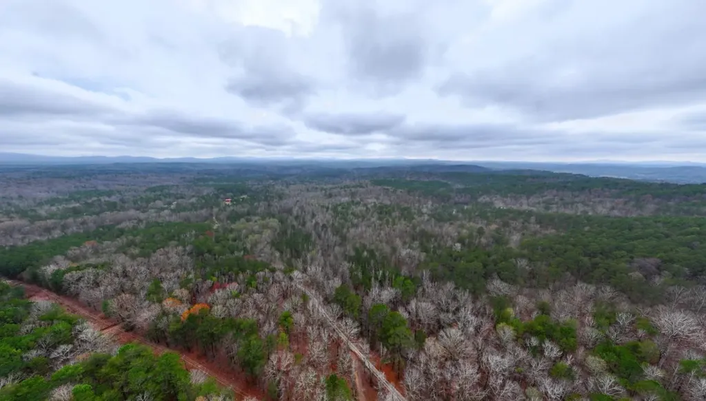 0 Hopeful Road Munford AL 36268