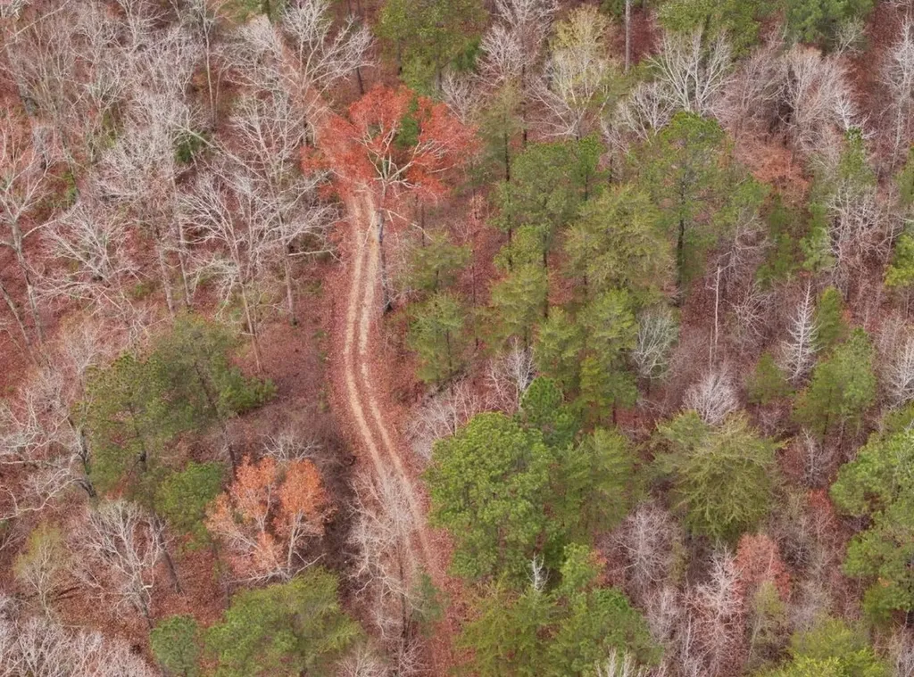 0 Hopeful Road Munford AL 36268