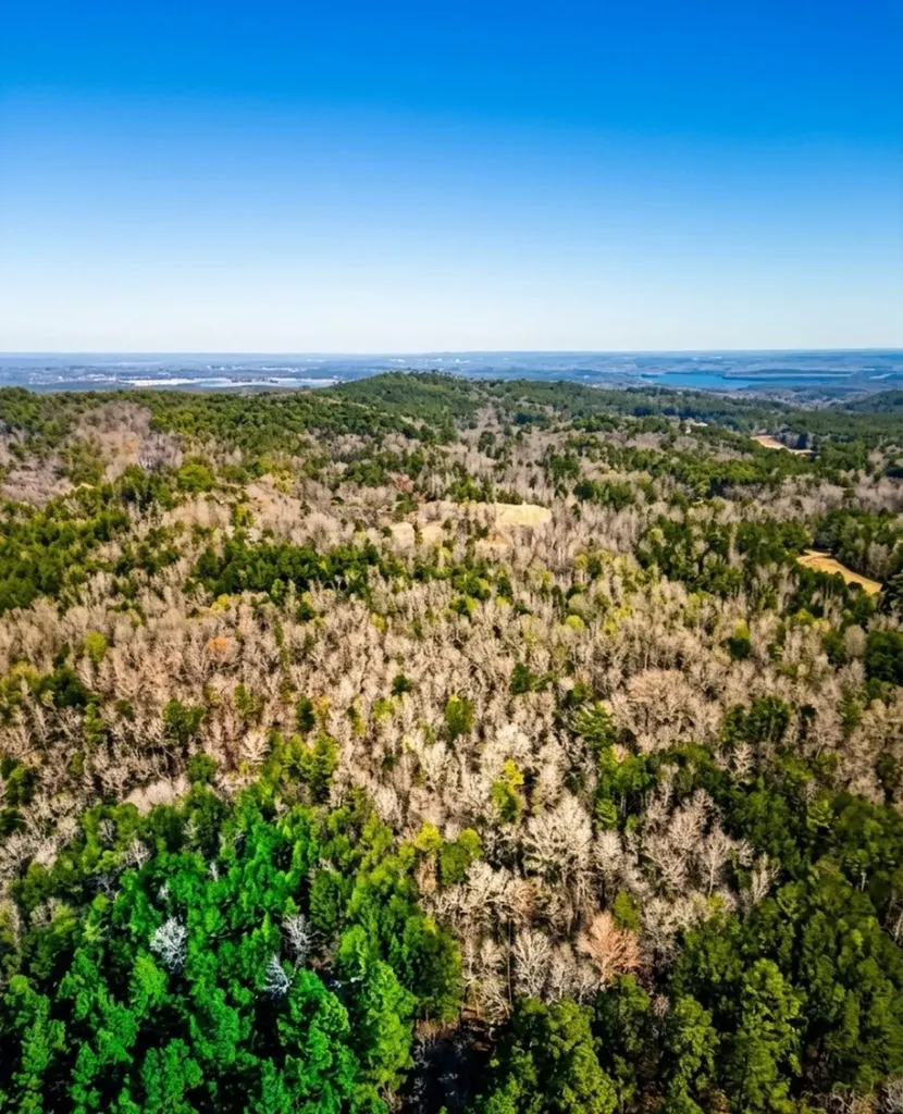 0 Hopeful Road Munford AL 36268