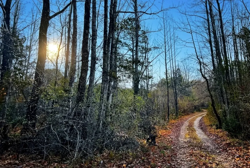 0 Hopeful Road Munford AL 36268