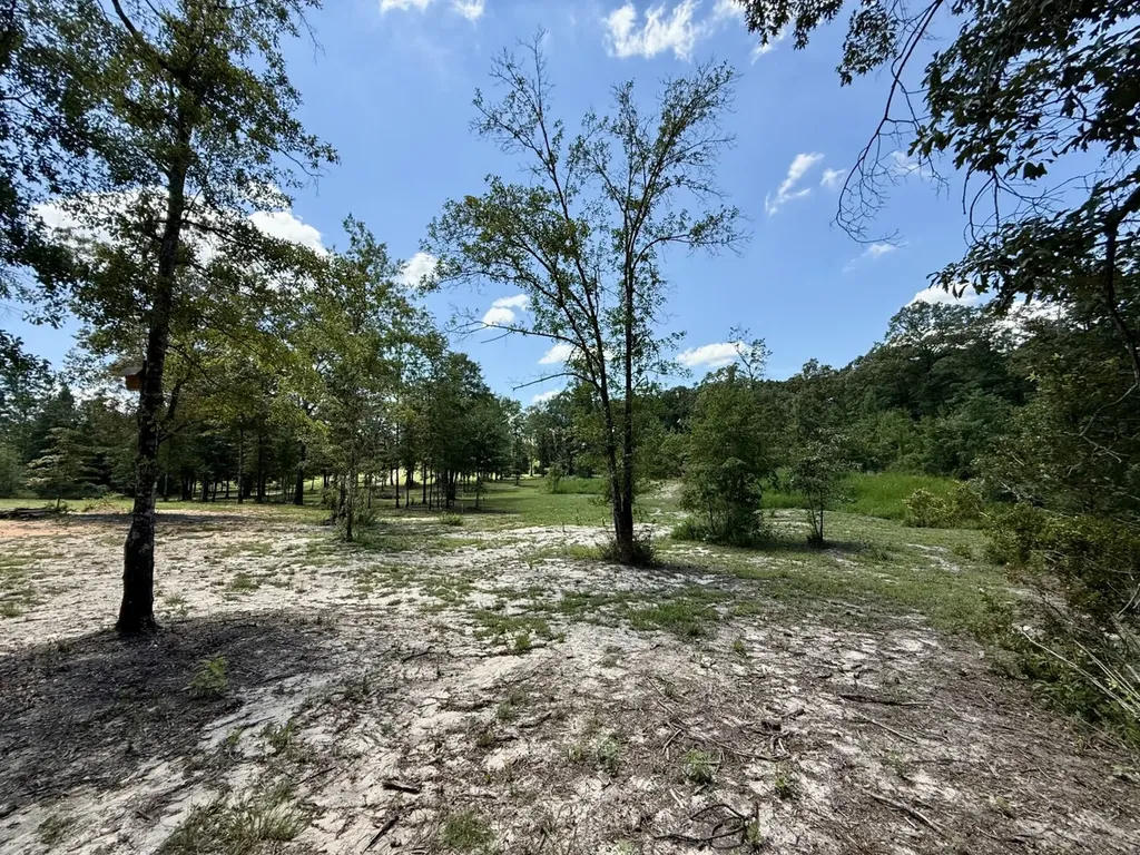 21941 Bible Road Perdido AL 36562