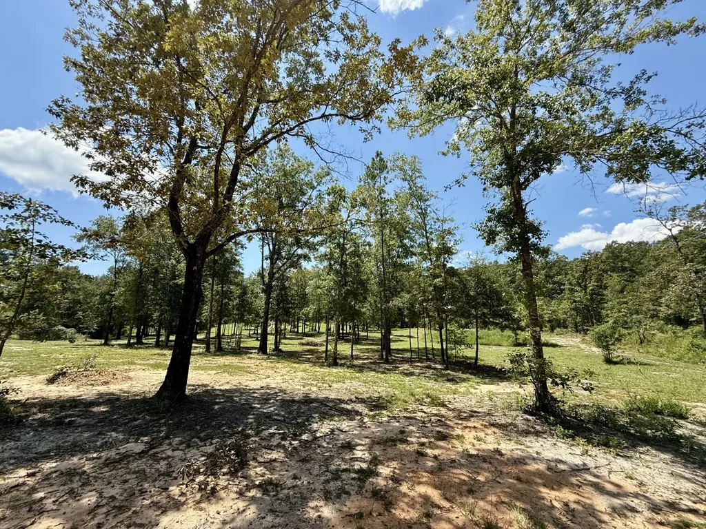 21941 Bible Road Perdido AL 36562