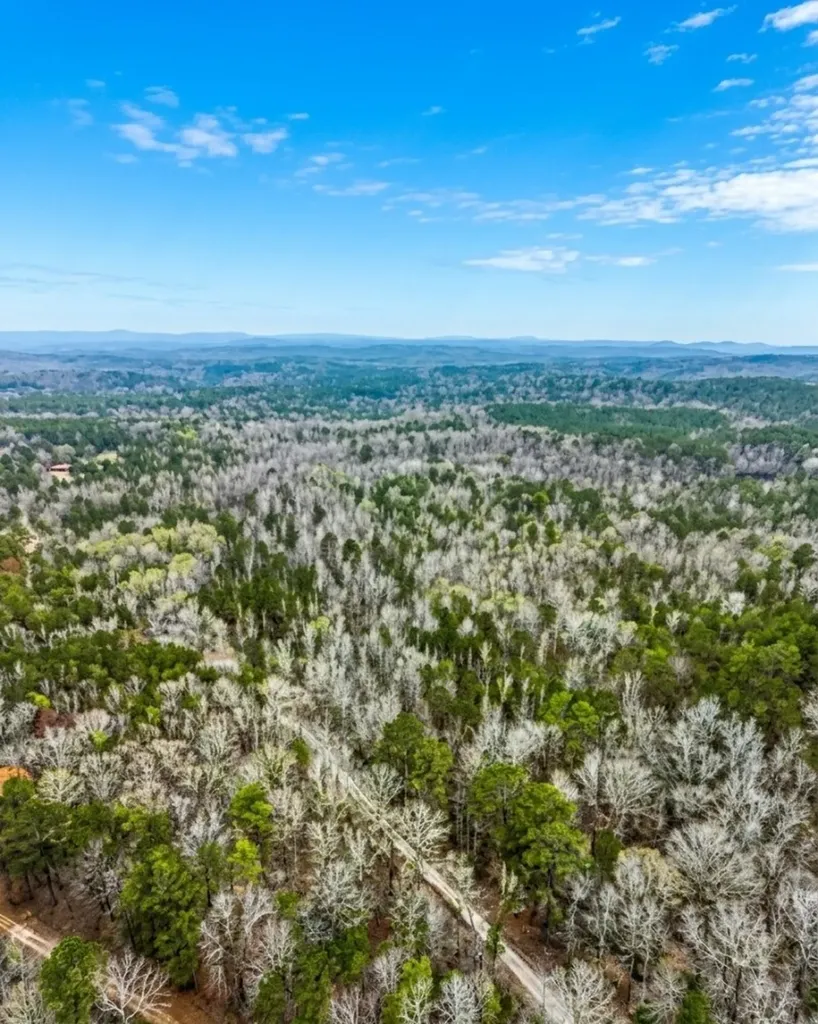 0 Hopeful Road Munford AL 36268