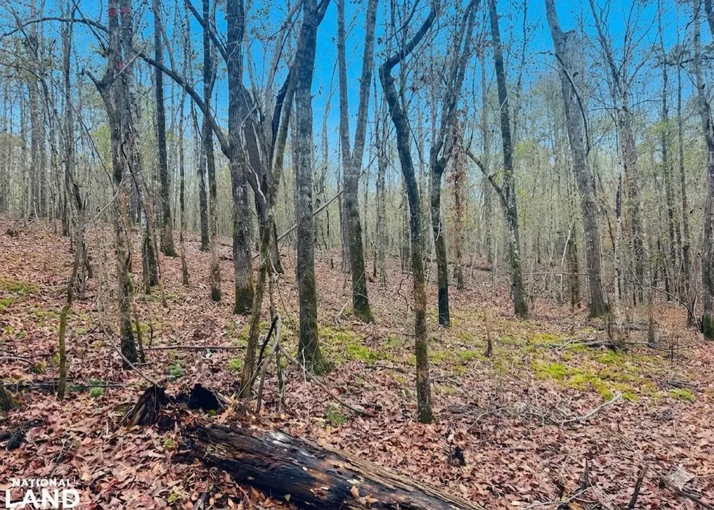 0 Hopeful Road Munford AL 36268